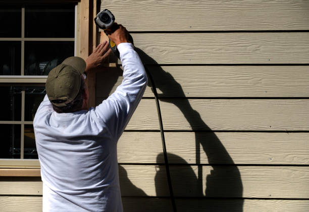 Best Vinyl Siding Installation  in Payson, IL